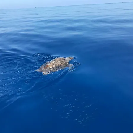 Casa Dei Sogni Stromboli